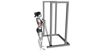 Read more about the article Band Standard Biceps Curl
