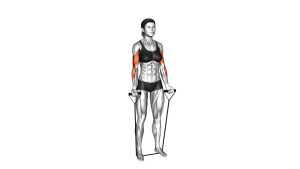 Read more about the article Band Standing Alternate Biceps Curl