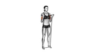 Read more about the article Band Standing Biceps Curl