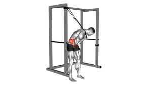 Read more about the article Band Standing Twisting Crunch