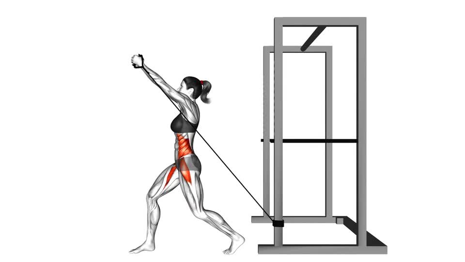 Image Band Core Rotation Band Twist (Down-Up) - ManiacMuscle