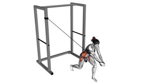 Read more about the article Band Twist (Up-Down)