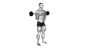 Read more about the article Barbell Alternate Biceps Curl