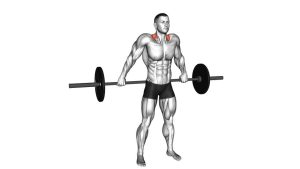 Read more about the article Barbell Back Wide Shrug