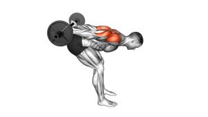 Read more about the article Barbell Bent-Over Reverse Raise (Skier)