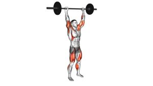 Read more about the article Barbell Clean and Press