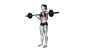 Read more about the article Barbell Curl