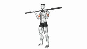 Read more about the article Barbell Curl