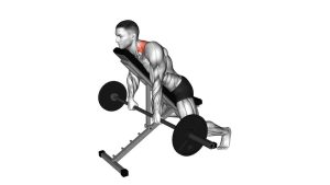 Read more about the article Barbell Decline Chest-Supported Shrug