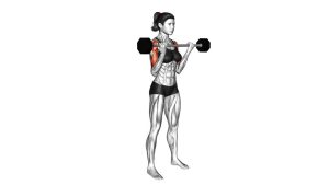 Read more about the article Barbell Drag Curl