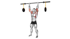 Read more about the article Barbell Military Press (Hanging Band Technique)