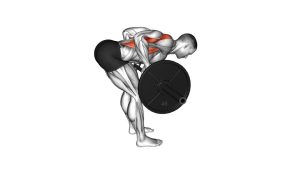 Read more about the article Barbell Paused Bent-Over Row