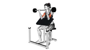 Read more about the article Barbell Preacher Curl