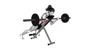 Read more about the article Barbell Prone Incline Curl