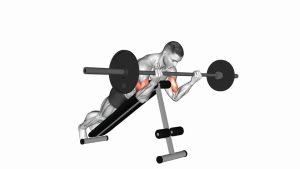 Read more about the article Barbell Prone Incline Curl