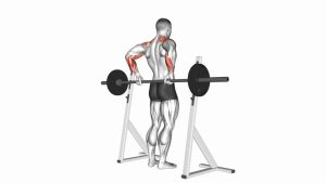 Read more about the article Barbell Rear Delt Raise