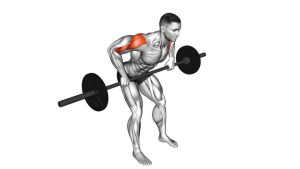 Read more about the article Barbell Rear Delt Row