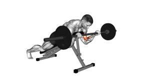 Read more about the article Barbell Reverse Spider Curl