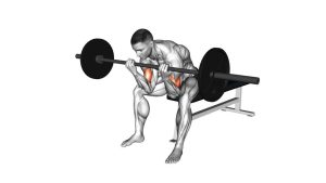 Read more about the article Seated Close-Grip Barbell Concentration Curl