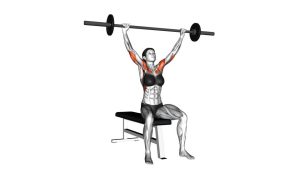 Read more about the article Barbell Seated Overhead Press