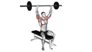 Read more about the article Seated Barbell Overhead Press