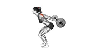 Read more about the article Barbell Skier