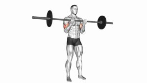 Read more about the article Barbell Standing Close-Grip Curl