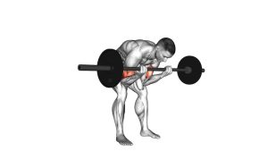 Read more about the article Barbell Standing Concentration Curl