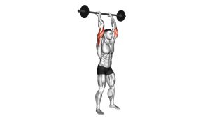 Read more about the article Barbell Standing Overhead Triceps Extension