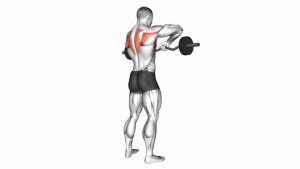 Read more about the article Barbell Upright Row