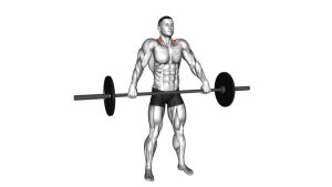 Read more about the article Barbell Wide Shrug