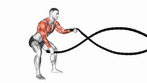 Read more about the article Battling Ropes Alternating Waves