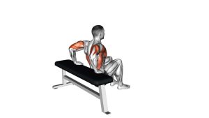 Read more about the article Bench Dip (Knees Bent)