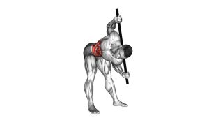Read more about the article Bent-Over Twist