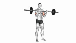 Read more about the article Barbell Reverse Curl