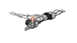 Read more about the article Bodyweight Lying Prone Y Raise