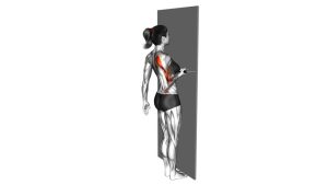 Read more about the article Bodyweight Row (Door Handle)