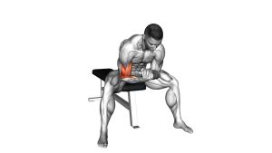 Read more about the article Bodyweight Seated Single-Arm Concentration Curl