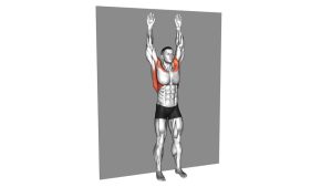 Read more about the article Bodyweight Standing Around the World (Wall-Supported)