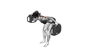 Read more about the article Bottle-Weighted Bent-Over Reverse Fly