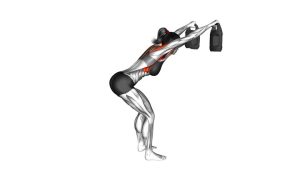 Read more about the article Bottle-Weighted Bent-Over Y Raise