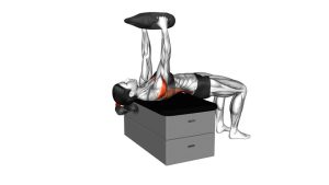 Read more about the article Bottle-Weighted Pullover