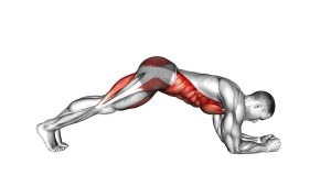 Read more about the article Butt-Up