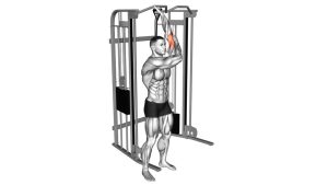 Read more about the article Cable Alternate Triceps Extension