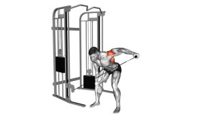 Read more about the article Cable Bent-Over One-Arm Lateral Raise