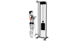 Read more about the article Cable Biceps Curl (EZ Bar)