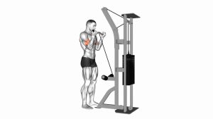 Read more about the article Cable EZ-Bar Biceps Curl