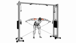 Read more about the article Cable Crossover Reverse Fly