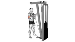 Read more about the article Cable Standing Biceps Curl