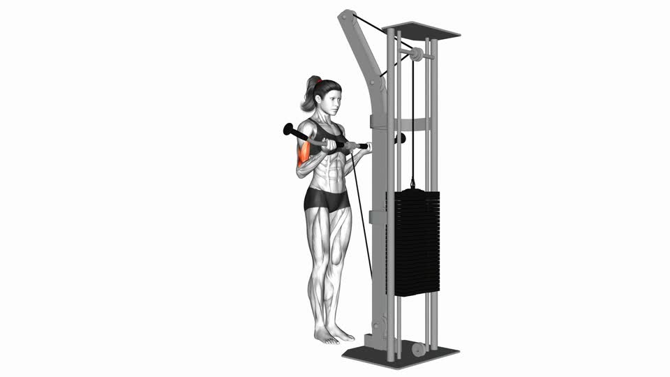 Cable Curl - ManiacMuscle